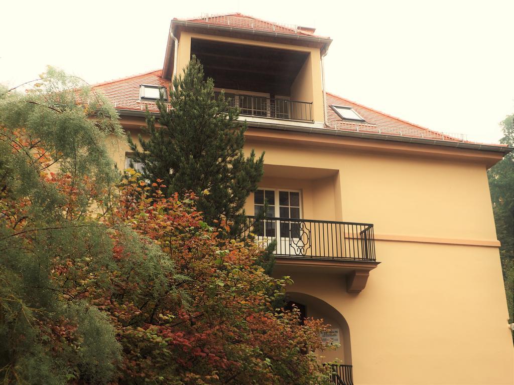Apartments Smag Obere Burgstrasse Πίρνα Εξωτερικό φωτογραφία